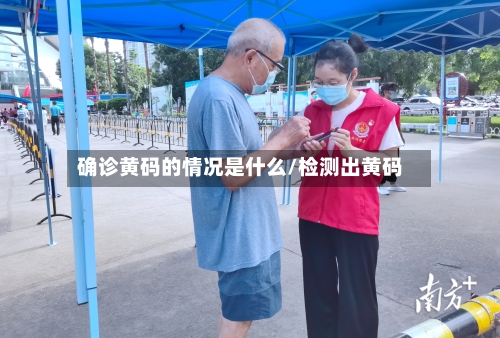 确诊黄码的情况是什么/检测出黄码-第3张图片