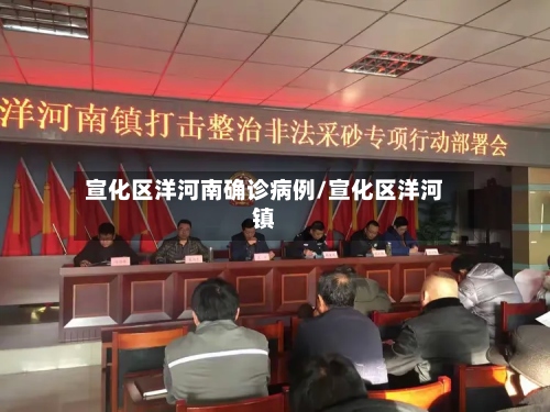 宣化区洋河南确诊病例/宣化区洋河镇