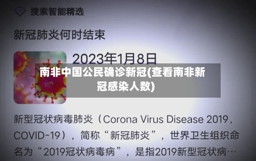 南非中国公民确诊新冠(查看南非新冠感染人数)-第3张图片