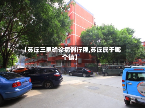 【苏庄三里确诊病例行程,苏庄属于哪个镇】-第2张图片