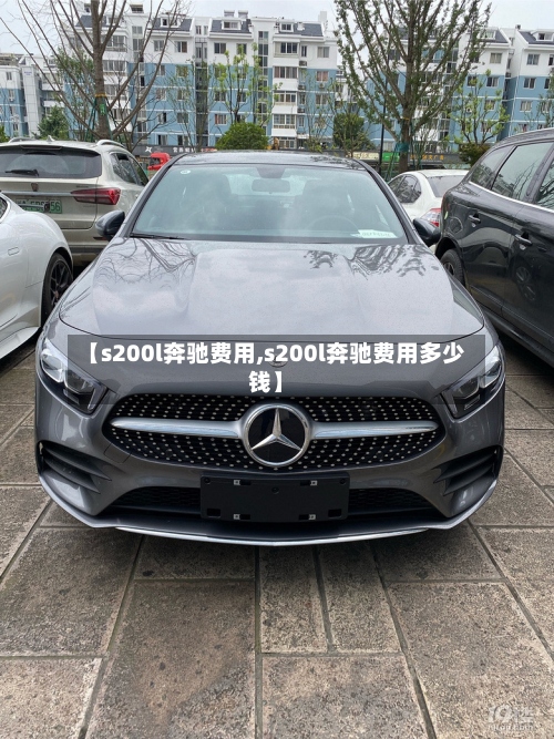 【s200l奔驰费用,s200l奔驰费用多少钱】-第3张图片