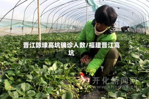 晋江陈埭高坑确诊人数/福建晋江高坑-第3张图片