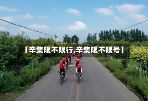 【辛集限不限行,辛集限不限号】