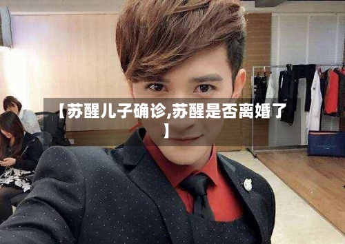 【苏醒儿子确诊,苏醒是否离婚了】-第2张图片