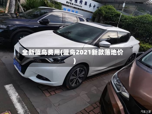 全新蓝鸟费用(蓝鸟2021新款落地价)-第2张图片