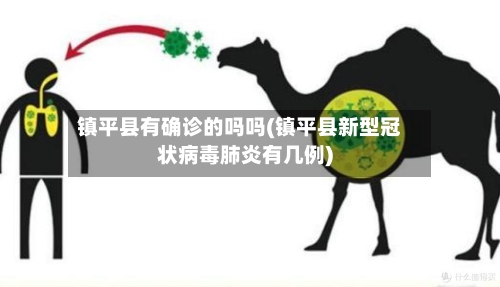 镇平县有确诊的吗吗(镇平县新型冠状病毒肺炎有几例)