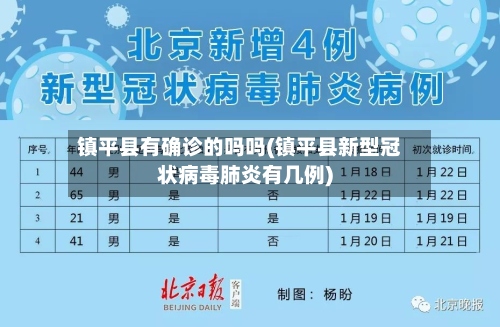 镇平县有确诊的吗吗(镇平县新型冠状病毒肺炎有几例)-第3张图片