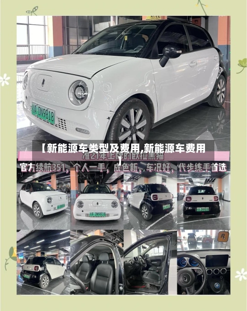 【新能源车类型及费用,新能源车费用】-第2张图片