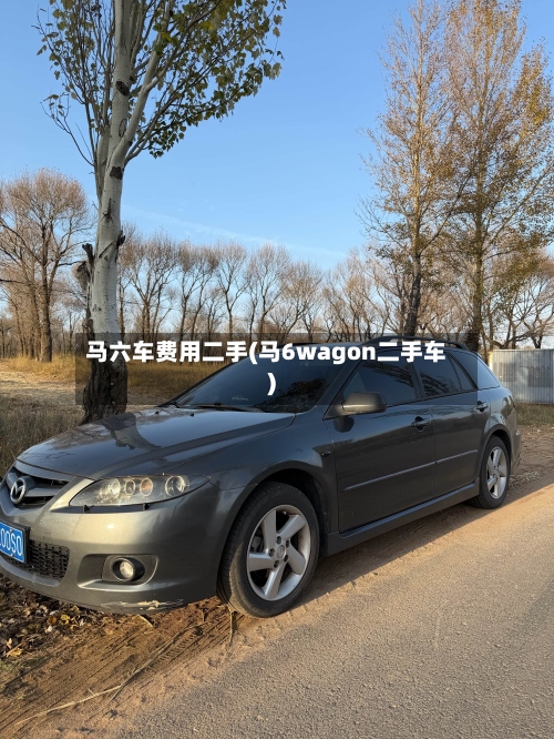 马六车费用二手(马6wagon二手车)