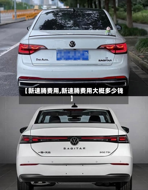 【新速腾费用,新速腾费用大概多少钱】
