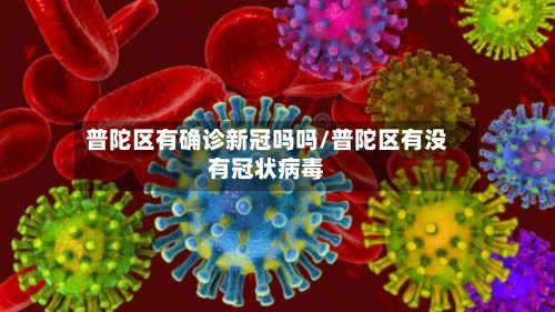 普陀区有确诊新冠吗吗/普陀区有没有冠状病毒-第2张图片