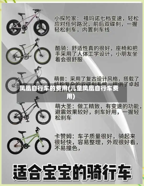 凤凰自行车的费用(儿童凤凰自行车费用)-第2张图片