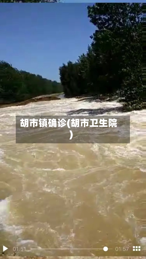 胡市镇确诊(胡市卫生院)