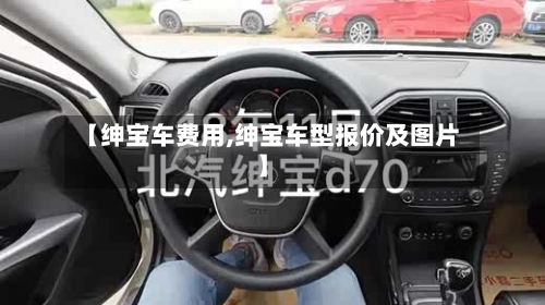【绅宝车费用,绅宝车型报价及图片】-第2张图片