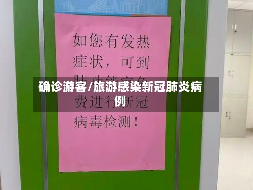 确诊游客/旅游感染新冠肺炎病例