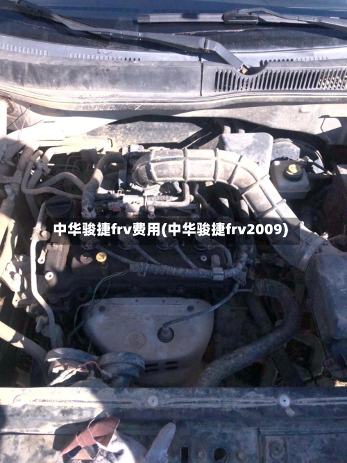 中华骏捷frv费用(中华骏捷frv2009)