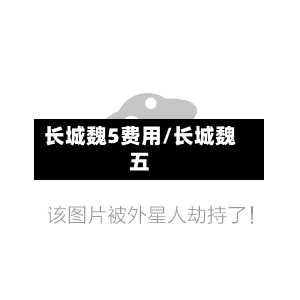 长城魏5费用/长城魏五
