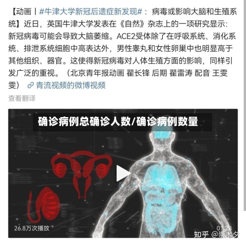 确诊病例总确诊人数/确诊病例数量