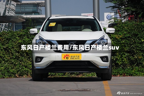 东风日产楼兰费用/东风日产楼兰suv-第3张图片