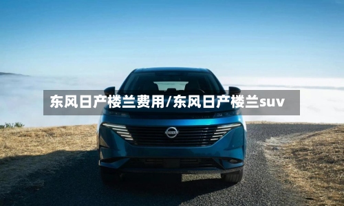 东风日产楼兰费用/东风日产楼兰suv-第2张图片