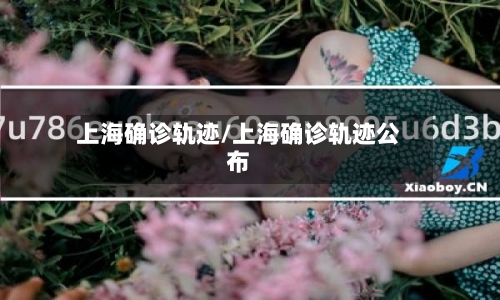 上海确诊轨迹/上海确诊轨迹公布