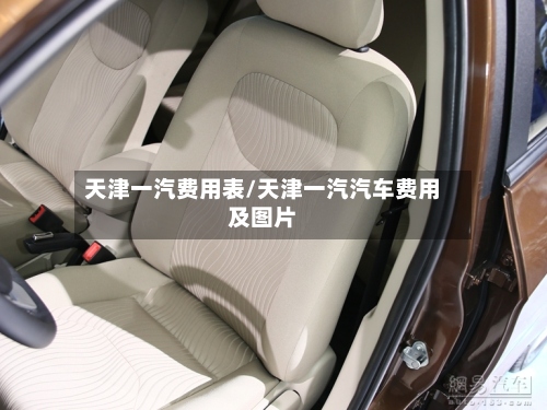 天津一汽费用表/天津一汽汽车费用及图片-第2张图片