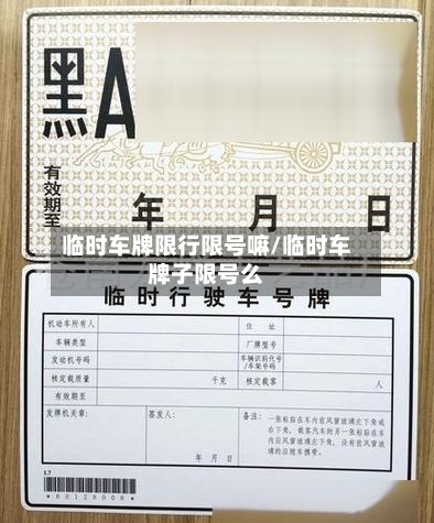 临时车牌限行限号嘛/临时车牌子限号么-第3张图片