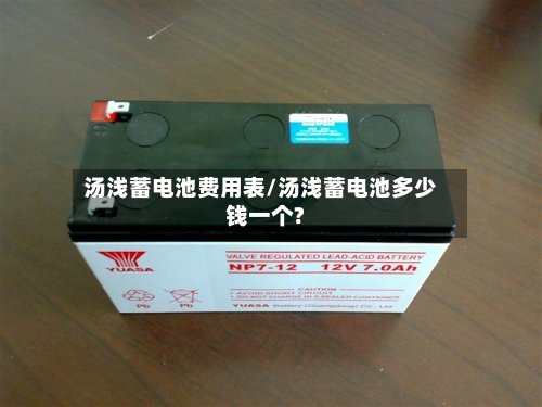 汤浅蓄电池费用表/汤浅蓄电池多少钱一个?-第2张图片