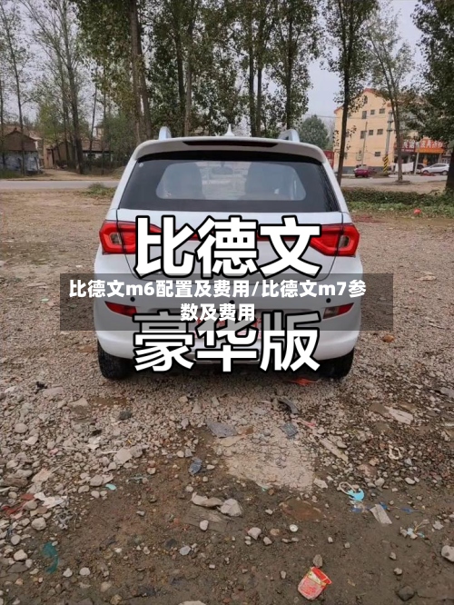 比德文m6配置及费用/比德文m7参数及费用