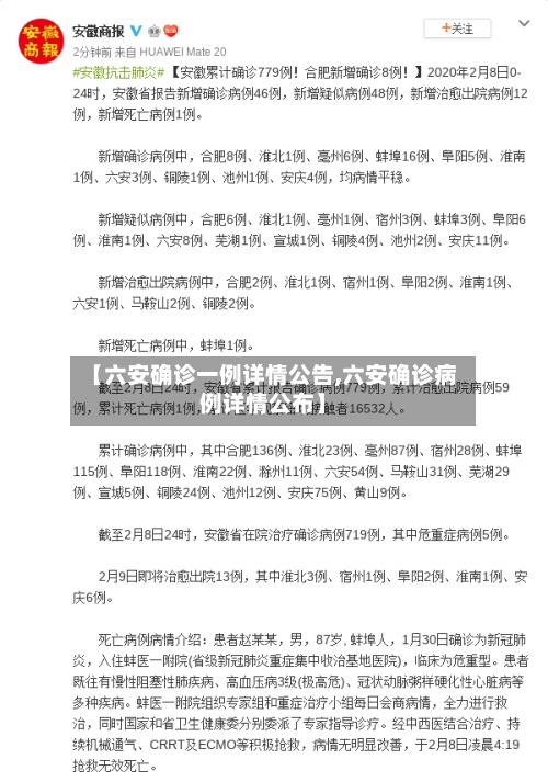 【六安确诊一例详情公告,六安确诊病例详情公布】