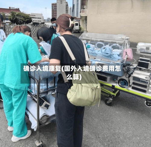 确诊入境康复(国外入境确诊费用怎么算)-第3张图片