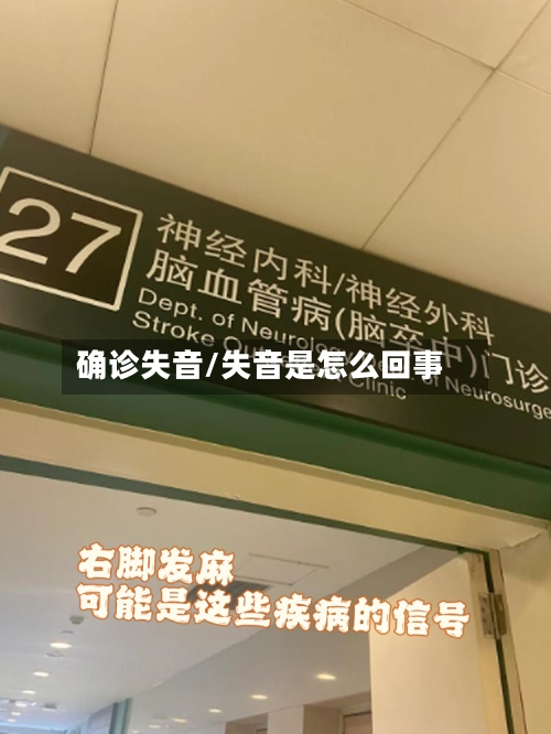 确诊失音/失音是怎么回事-第3张图片