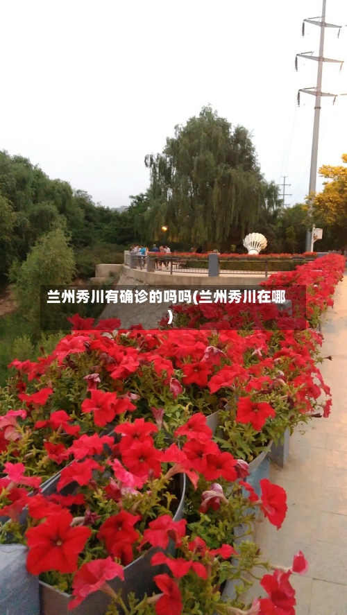 兰州秀川有确诊的吗吗(兰州秀川在哪)-第2张图片