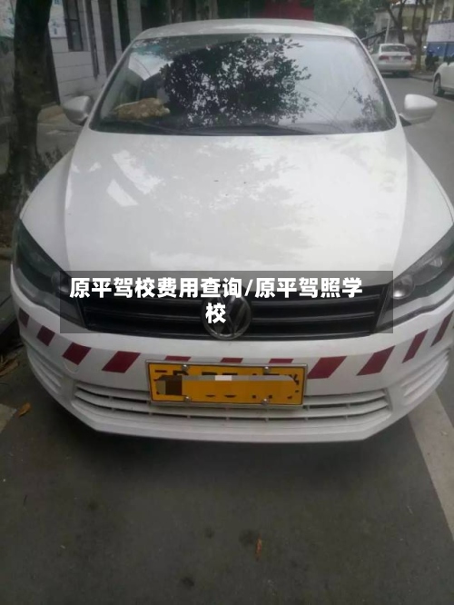 原平驾校费用查询/原平驾照学校-第3张图片