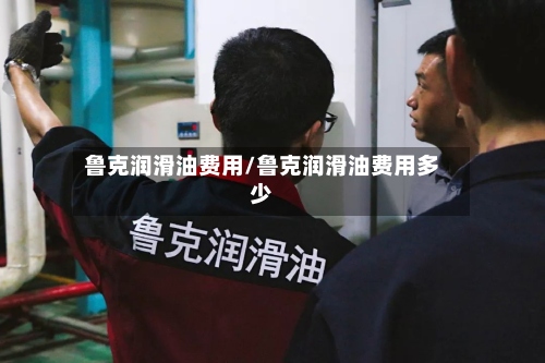 鲁克润滑油费用/鲁克润滑油费用多少-第2张图片