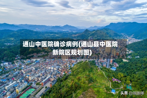 通山中医院确诊病例(通山县中医院新院区规划图)-第3张图片