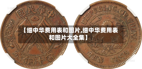 【细中华费用表和图片,细中华费用表和图片大全集】-第3张图片