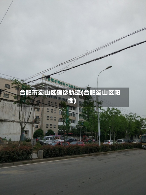 合肥市蜀山区确诊轨迹(合肥蜀山区阳性)-第2张图片