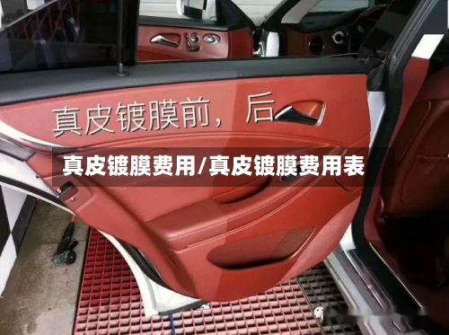 真皮镀膜费用/真皮镀膜费用表