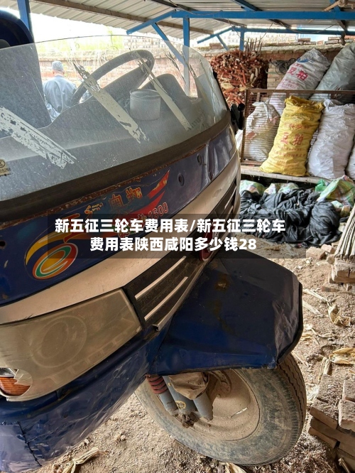 新五征三轮车费用表/新五征三轮车费用表陕西咸阳多少钱28