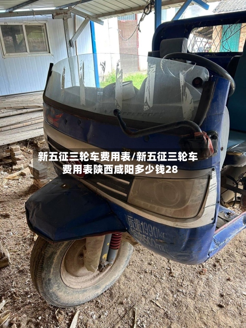 新五征三轮车费用表/新五征三轮车费用表陕西咸阳多少钱28-第3张图片