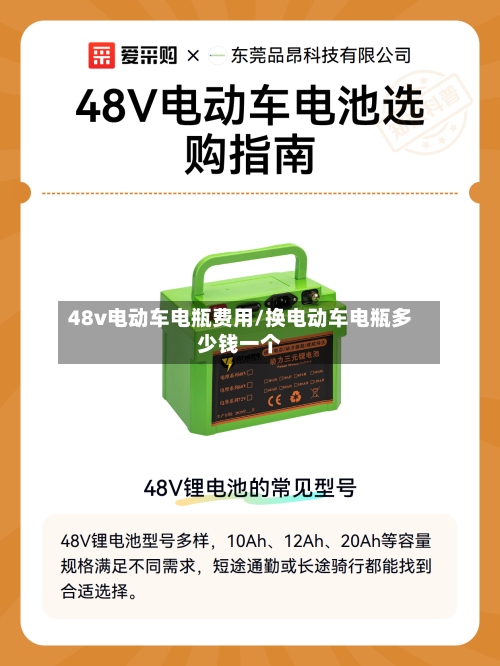 48v电动车电瓶费用/换电动车电瓶多少钱一个