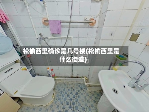 松榆西里确诊是几号楼(松榆西里是什么街道)-第3张图片