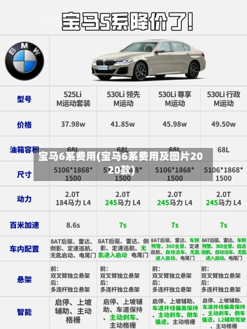 宝马6系费用(宝马6系费用及图片2020款)