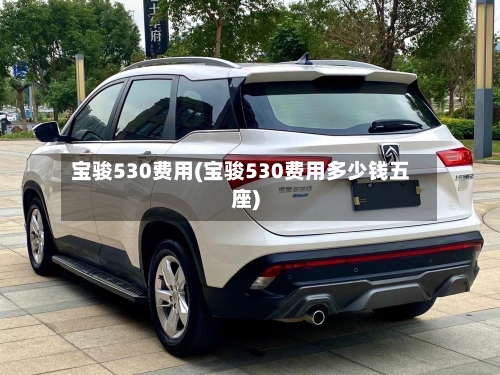 宝骏530费用(宝骏530费用多少钱五座)-第3张图片