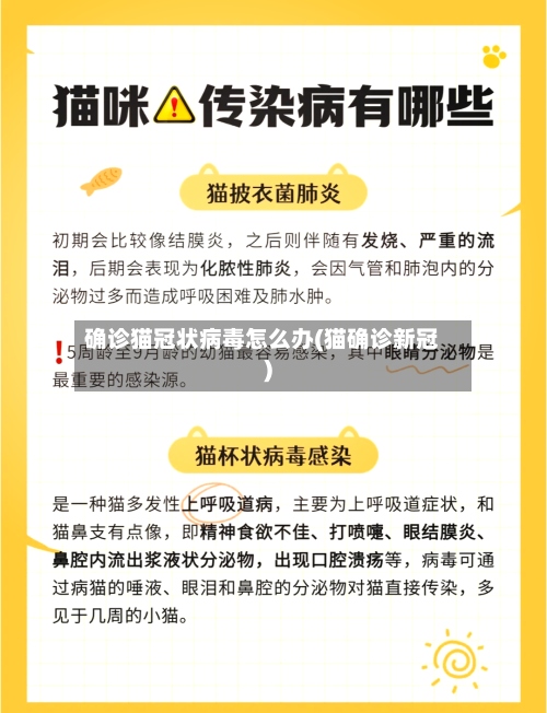 确诊猫冠状病毒怎么办(猫确诊新冠)-第2张图片