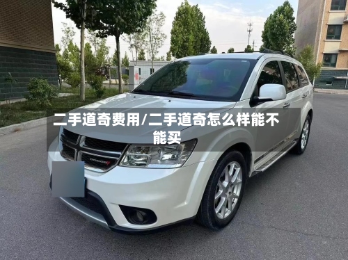 二手道奇费用/二手道奇怎么样能不能买