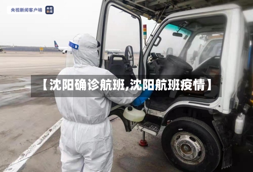 【沈阳确诊航班,沈阳航班疫情】-第2张图片