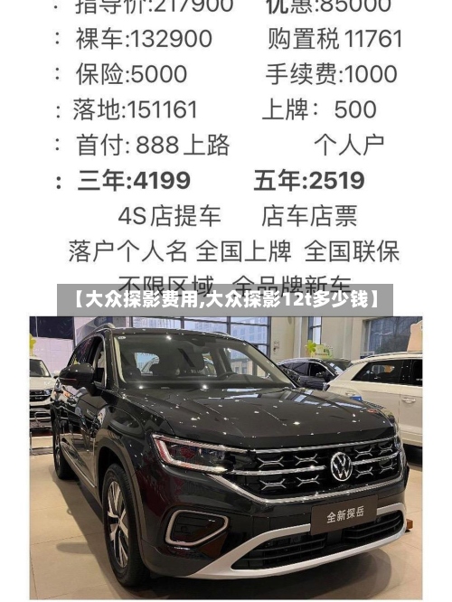 【大众探影费用,大众探影12t多少钱】