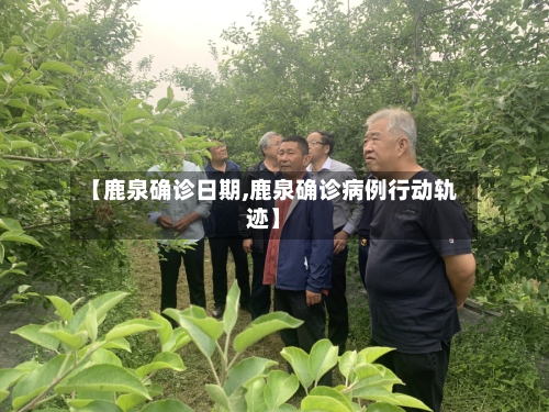 【鹿泉确诊日期,鹿泉确诊病例行动轨迹】